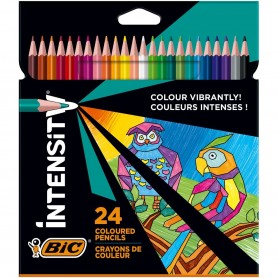 24 LAPICES INTENSITY - COLOR UP